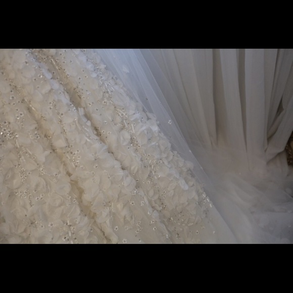 Wedding Dress - Picture 4 of 5